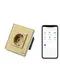 Priza schuko smart Zigbee simpla cu rama din sticla Tosyco compatibila cu Tuya, Google Home, Amazon Alexa