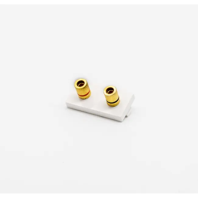 Modul priza audio stereo 1/2 Tosyco